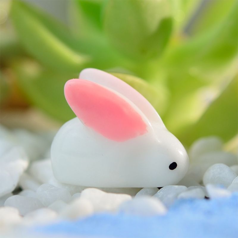 24Pcs Punaise Plastic Push Pin Voor Foto Muur Zachte Board Hout Kurk Board Kaart