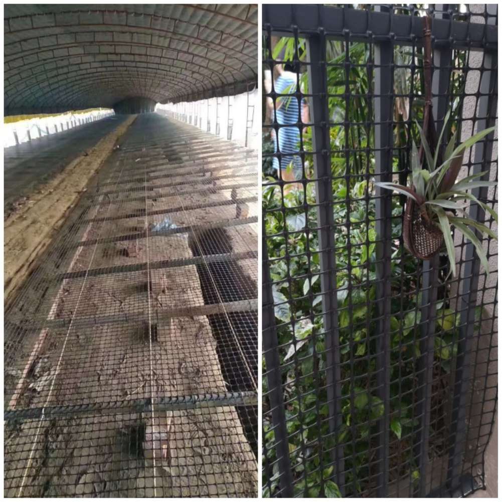 Malla de celosía de jardín, malla de plástico negro a prueba de fugas, red para gatos, mascotas, pollos, patos, valla, balcón, barandilla, escaleras, protección, red de seguridad