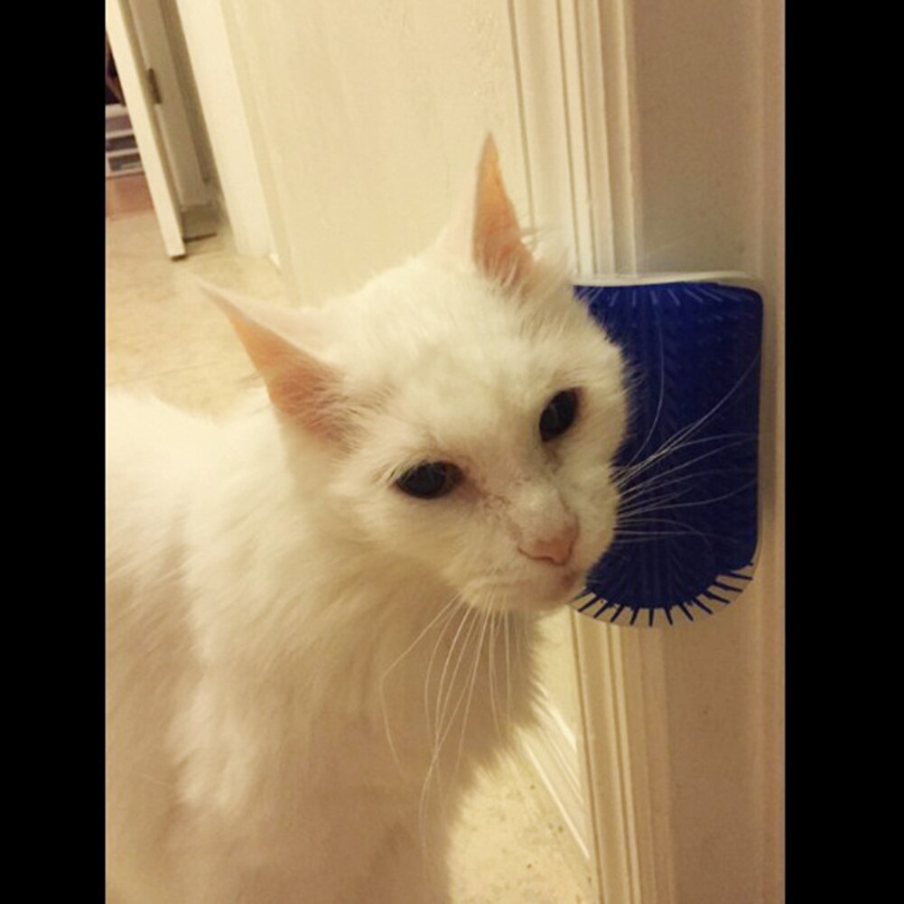 Kattenborstel kattenkam katten zelftrimmer kam plastic dierenbenodigdheden zwart/grijs/groen/blauw kattenmassageapparaat
