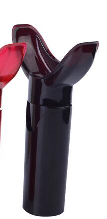 Sexy bouche beauté lèvre pompe amélioration pulpeuse lèvres pompe dispositif rapide lèvre plus dodue rehausseur naturel plus complet plus grand: Rouge
