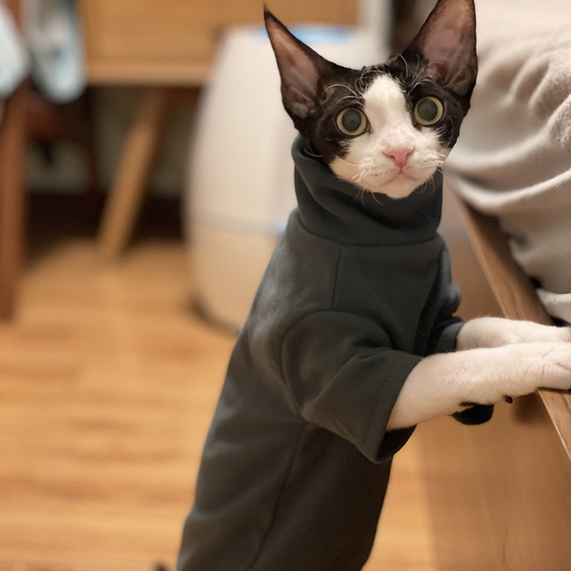 DUOMASUMI-ropa para gato Sphynx de algodón suave para bebé, disfraz de Gato sin Pelo, para Otoño e Invierno