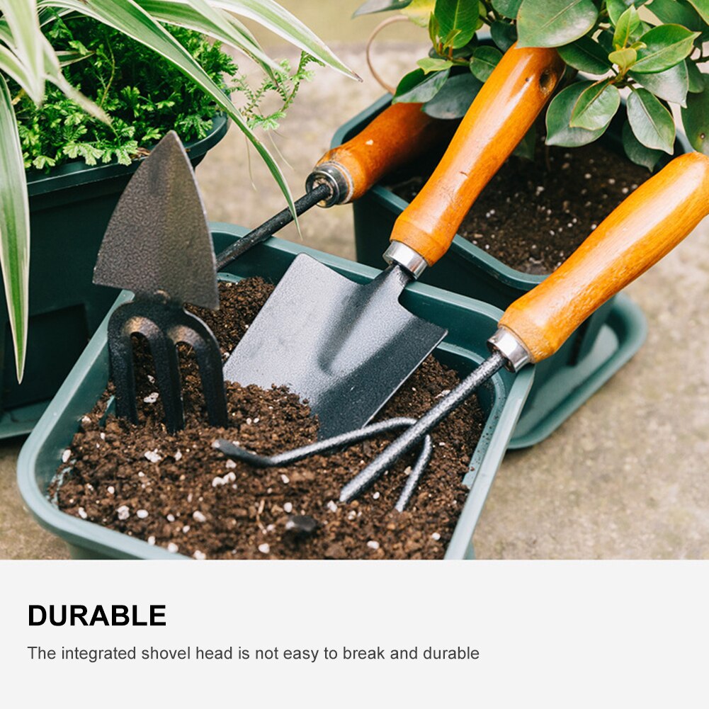 Mini Tuingereedschap Draagbare Kleine Hark Schop Tuin Hand Tool Voor Ingemaakte Succulent Bloemen Zaailingen Voor Vrouwen Mannen