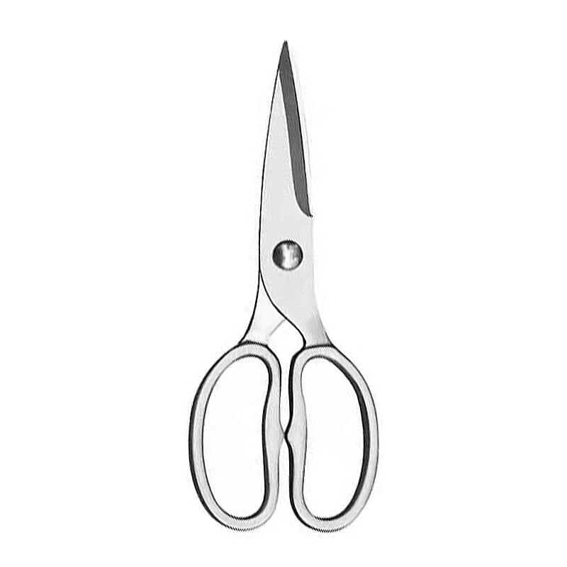 Keuken Schaar Kip Bone Keuken Scharen, Eend Vis Cutter 4Cr Roestvrij Staal Vis Schaar Schaal Schoon Kok Schaar Mes: JD89