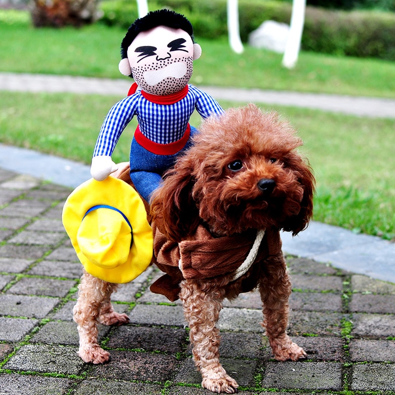 Costume d&#39;Halloween cow-boy pour chien, déguisement des animaux de compagnie, vêtement amusant, convient au bouledogue français, carlin, chihuahua, nouveauté