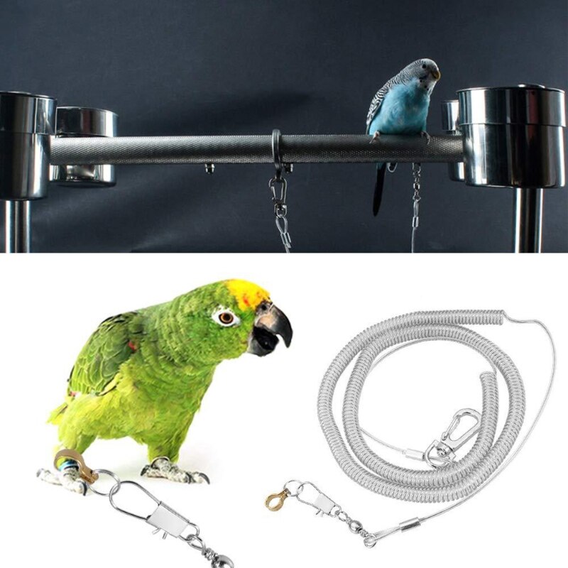 Harnais Anti-morsure oiseau perroquet 6m, entraînement en vol, corde laisse pour c.ckatiels aras, oiseaux étoilés gris africains