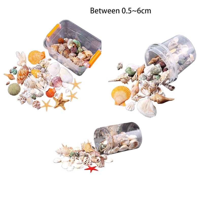 Starfish Seashells Sea Snail Coral in Random Match Fish Tank Ornaments Aquarium Decoration Theme Party Decor DIY Crafts