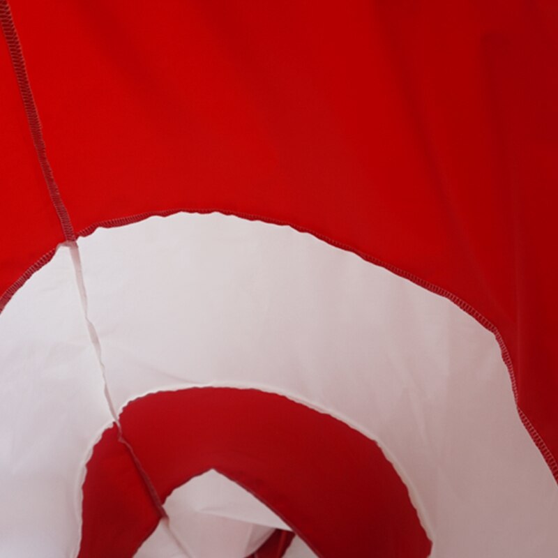 Wind Sock Weather Vane Windsock Outdoor Toy Kite,Wind Monitoring Needs Wind Indicator