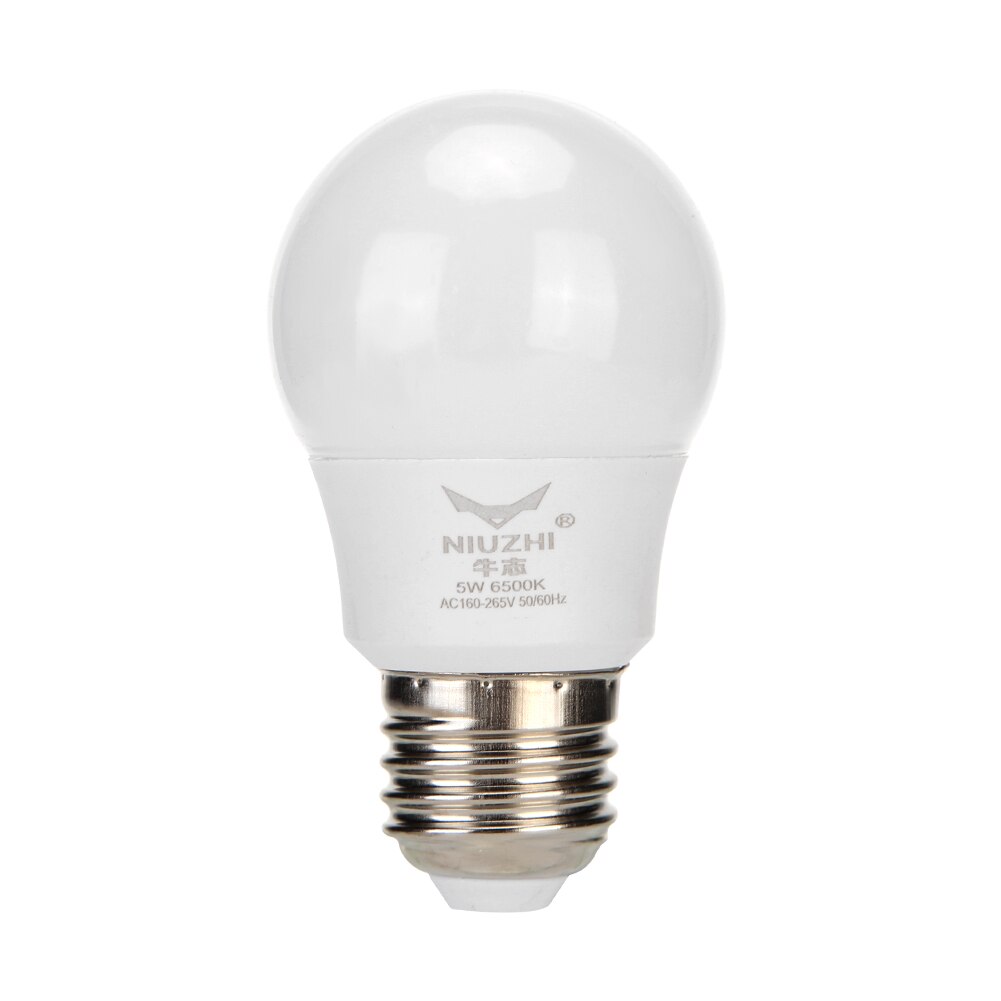 Gloeilampen E27 Led Lamp AC85-265V 5W SMD2835 Gloeilamp Spotlight Koud Wit Voor Home Decorations Licht lampen