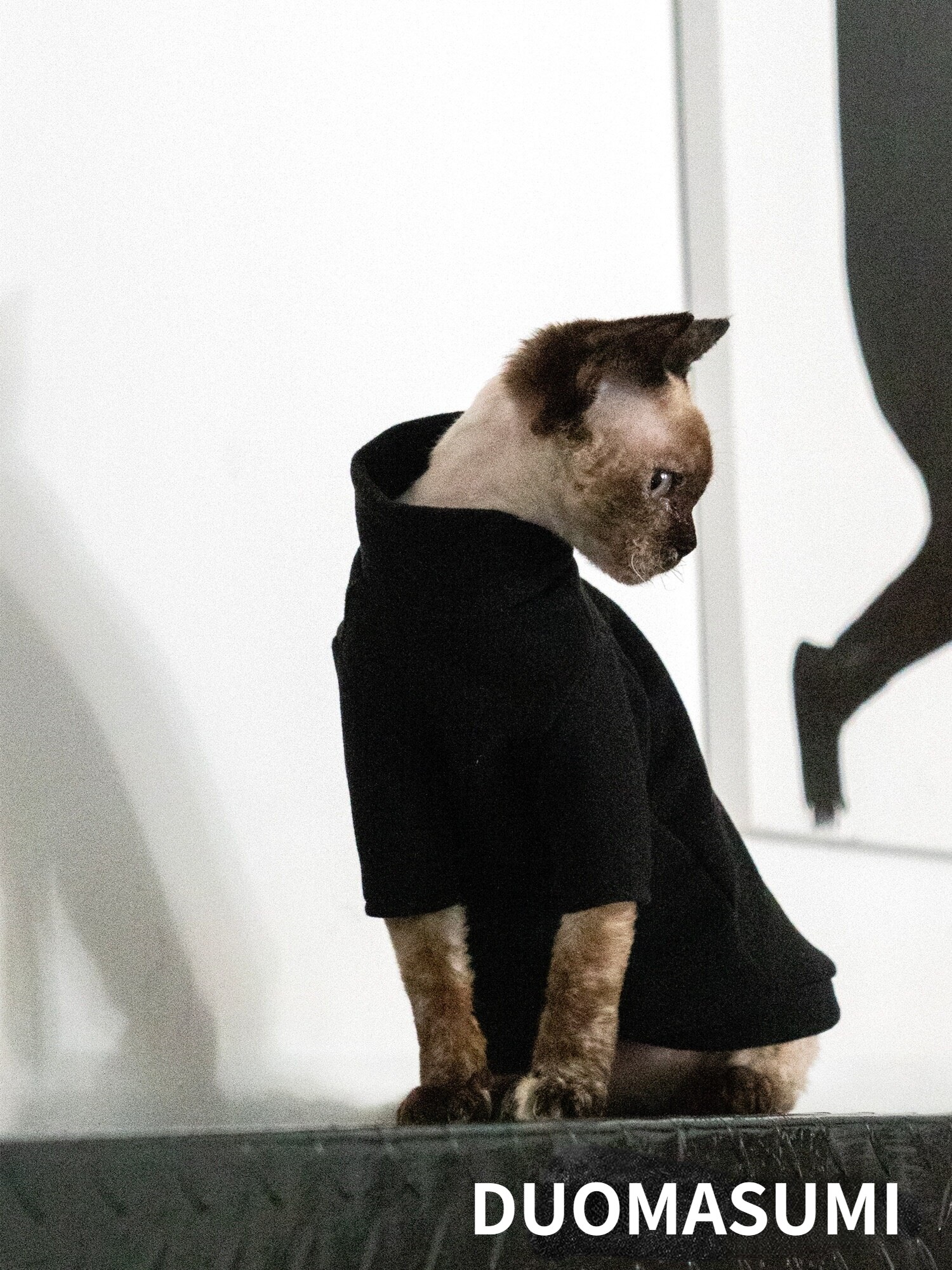 STOCK CLEAN Hairless Cat Clothes Warm Winter Thick Cat Clothes Cationic Self-heating,Sphynx,Devon Cat Clothes