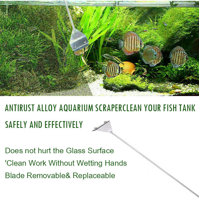 Aquarium Stainless Steel Fish Tank Algae Removal Scraper Blade Aquatic Plants Aquatic Cleaning Multifunctional Cleaning Tool Set