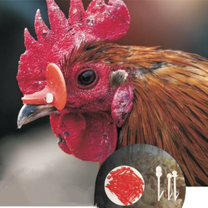 Fabrik direkte levering plastik kylling øje dække fjerkræ kyllinger briller med god effektivitet