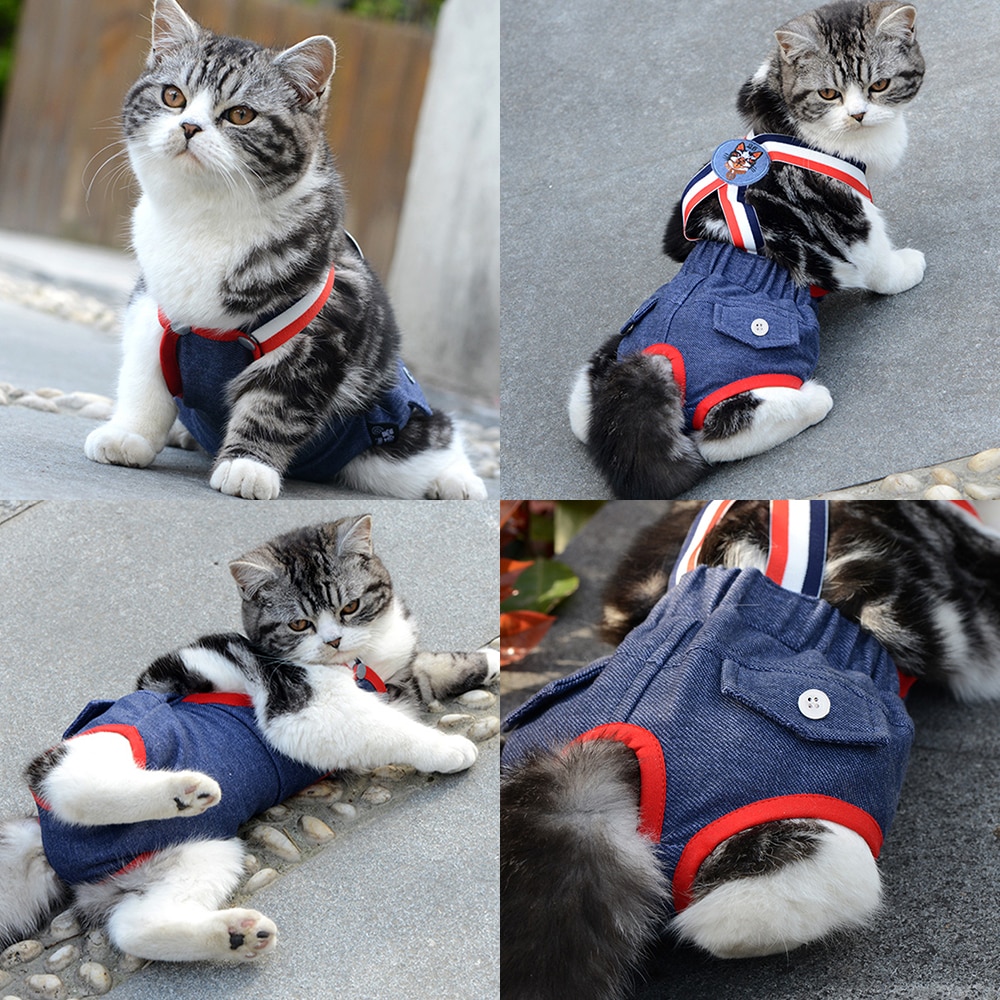 Pañal lavable para perro y gato, pantalones fisiológicos para mujer, ropa interior suave, pantalones cortos para mascotas, bragas sanitarias, XS-XL