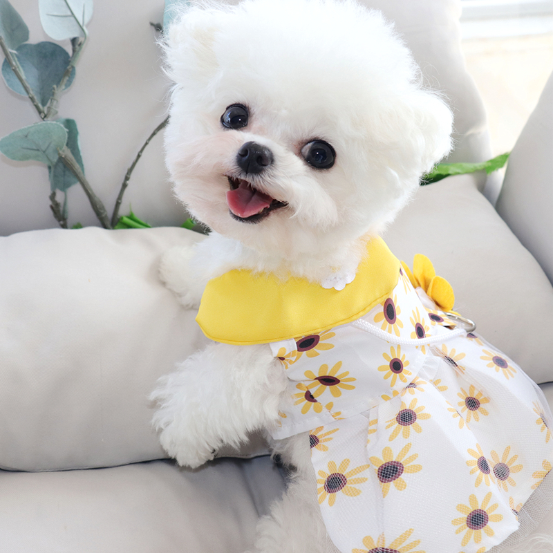 Robe de princesse pour chien, vêtements d'été mignons pour chien, jupe en dentelle pour chat, vêtements pour animaux de compagnie, Chihuahua Bichon, gilet pour chat, chiot, chemise pour filles