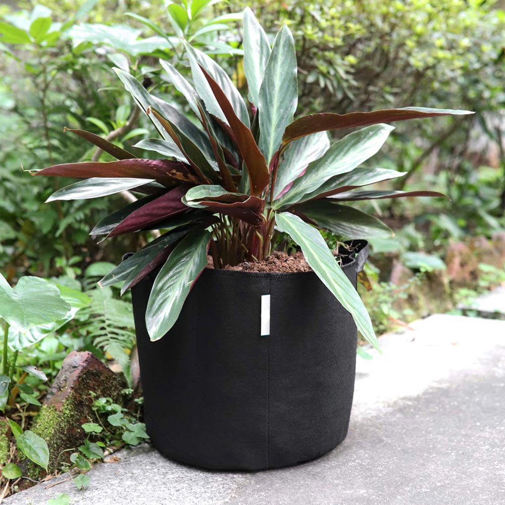 5-Pack 1/2/3/4/5/6/7/9/10 Gallon Grow Bags/Aeration Fabric Pots with Handles Black