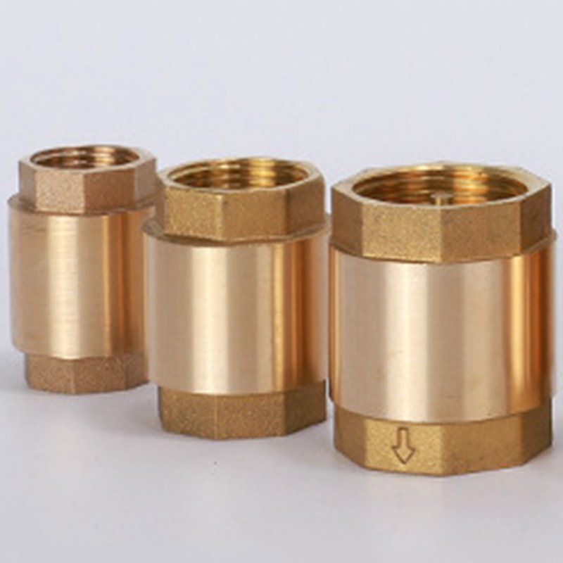 Vertical Check Valve DN15/DN20/DN25 Hydraulic Control Thickened Explosion-proof Brass Material Vertical Spring Check Valve