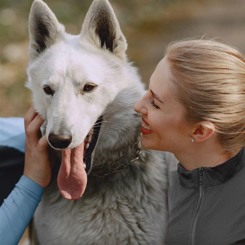 Haustier Einkaufen Uniform Wasserdichte Hundesalon Schürze Kosmetikerin Kleidung Cosmetologist Uniform Schlecht Uniform Für draussen Salon Hause Arbeit