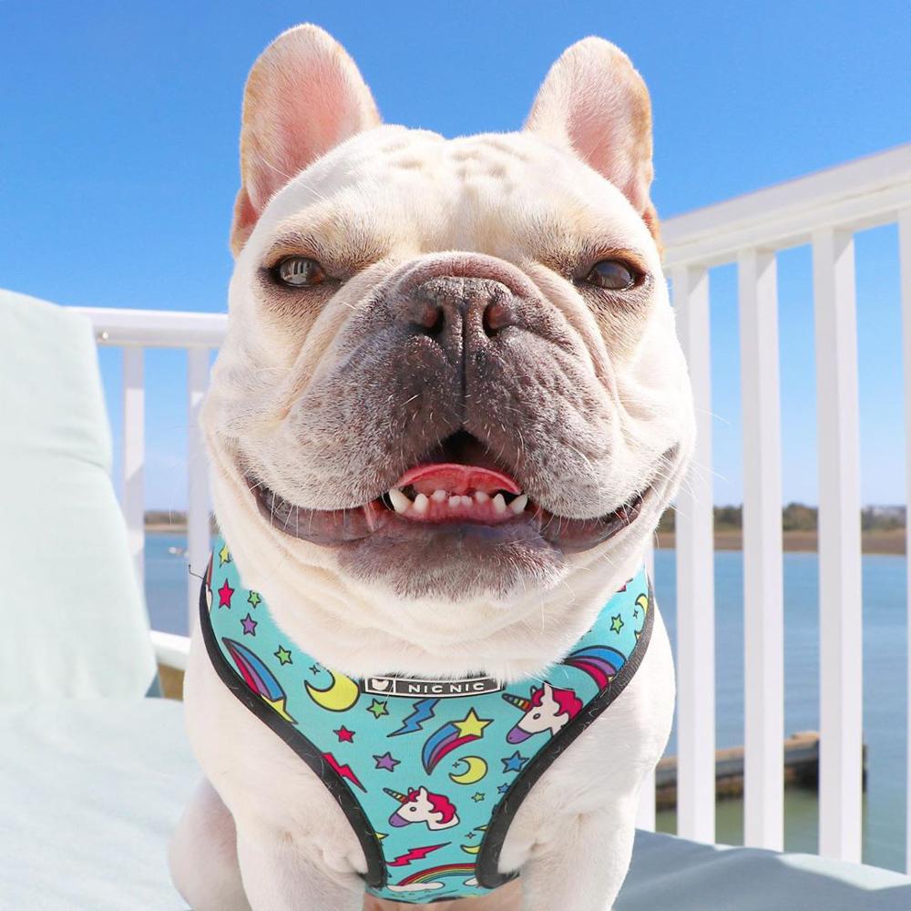 Dog Leashes Collar For Pet French Bulldogs Small Puppy Harnesses For Dogs Pet Breathable Mesh Leash Pugs Collar