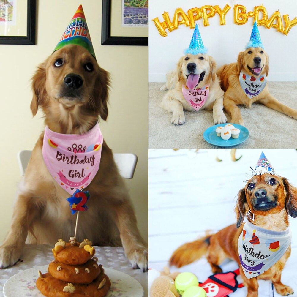 Bavoir pour chien d'anniversaire | Écharpe pour tête, foulard pour chien, chat ou chiot, accessoires de fête d'anniversaire pour chiens moyens et grands