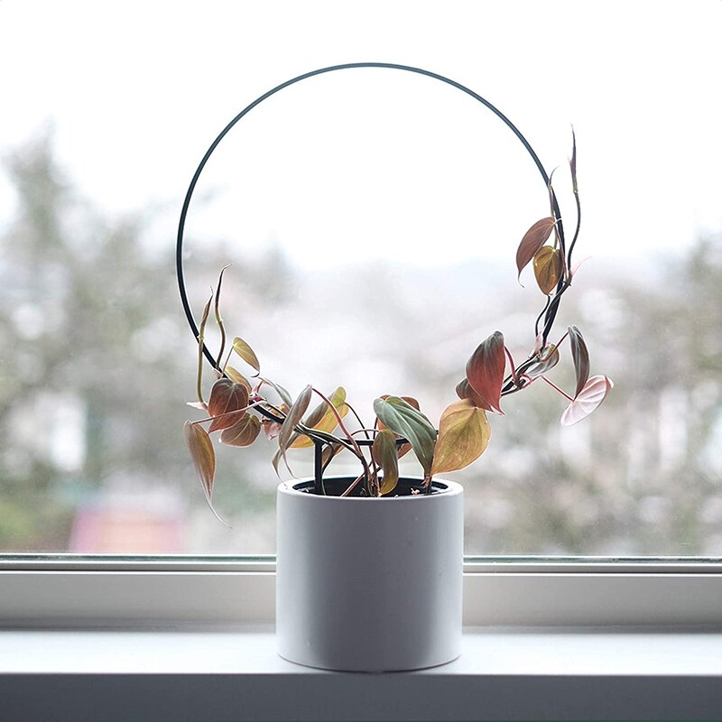 Planteunderstøttelse have espalier klatrestav cirkel rund form stativ vinstokstativ til mini indendørs planter blomster grøntsager