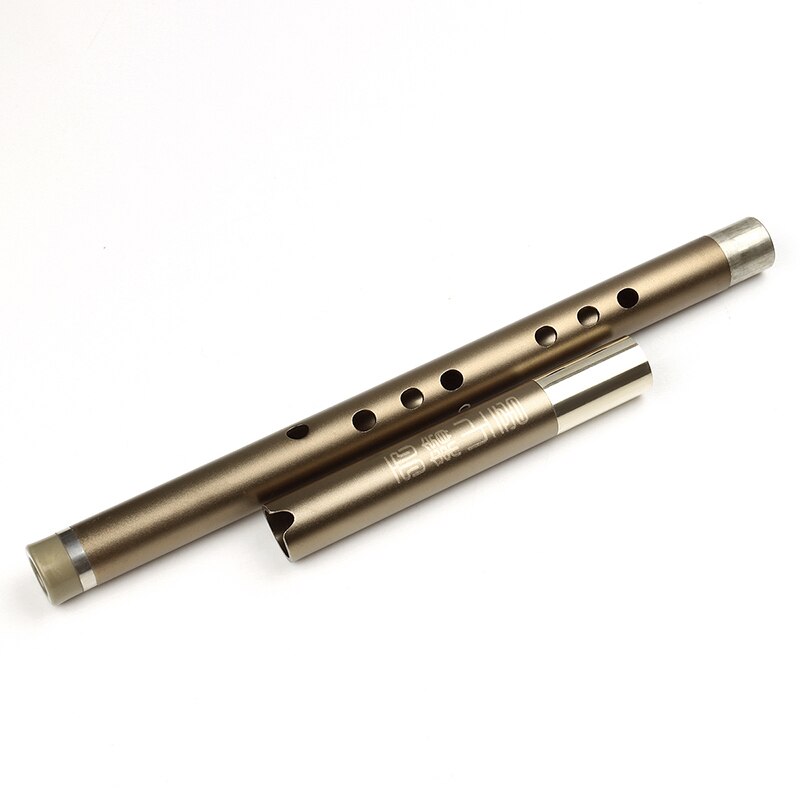 Classical Vertical Flute Aluminum two section Metal XIAO Mouth Piece Inclued Musical Instrument Flute for Beginner
