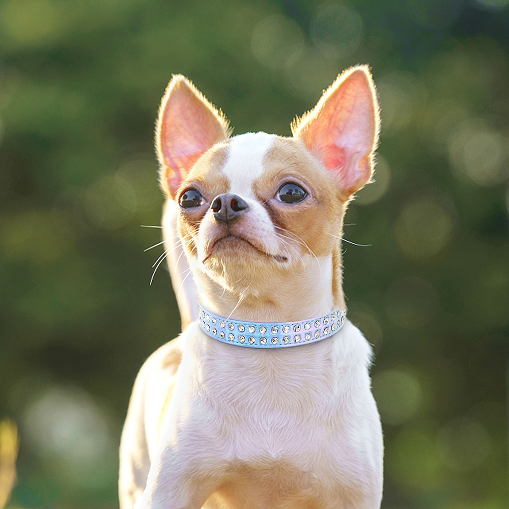 Strass halsband glanzende diamant kat hondenhalsbanden kristal glitter puppy huisdier lederen ketting voor kleine middelgrote honden Chihuahua