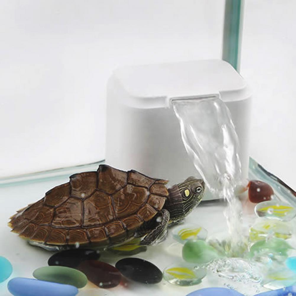 Schildkröte Panzer Filter Niedrigen Wasserstand Wasser Gereinigtes Wasser Pumpe Aquarium Schildkröte Pumpe Heimtierbedarf