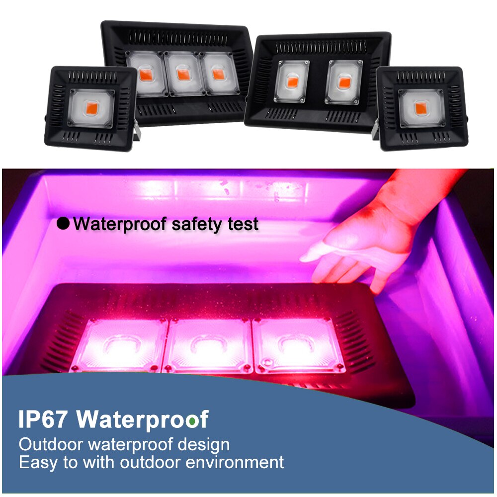 Luz LED de espectro completo COB, 300W, luz de inundación de crecimiento, lámpara resistente al agua Phyto para planta de interior, Growbox hidropónico