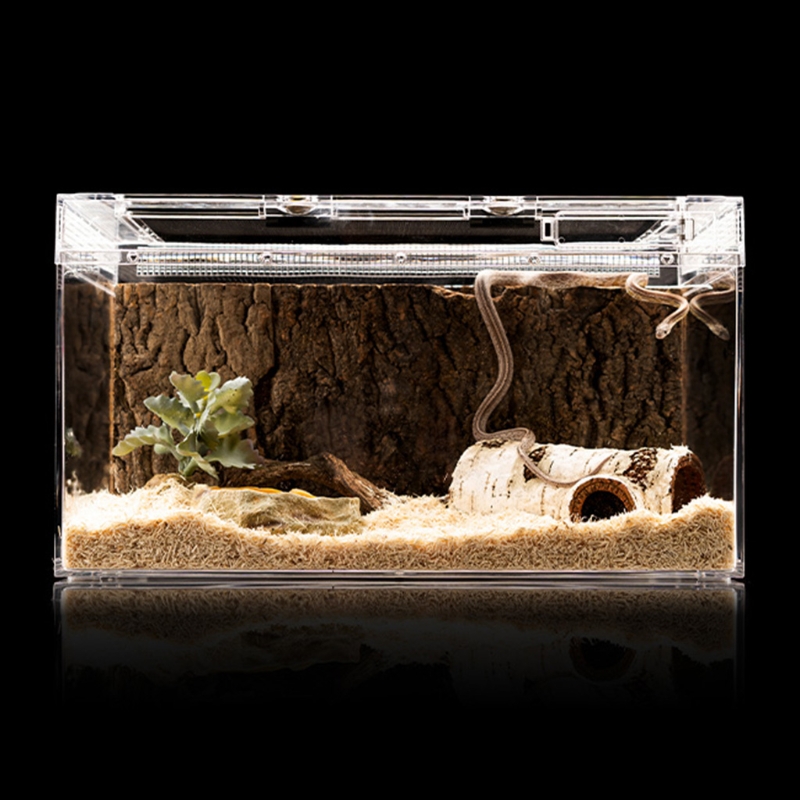 Y1QB – cachette de serpent pour petits reptiles, grotte en forme de bouleau artificiel, décoration de Terrarium