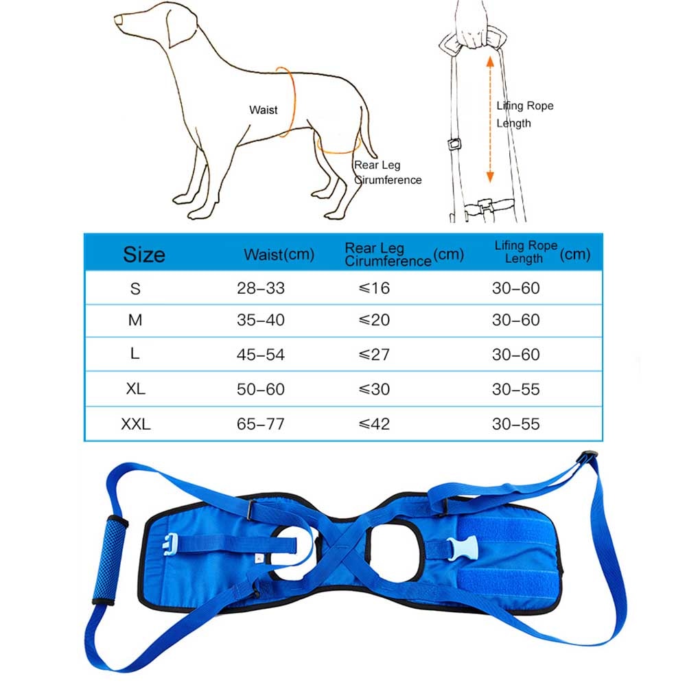 Dierbenodigdheden Uitgeschakeld Hond Ondersteuning Walking Helpen Harnas Draagbare Riem Elastische Mat Achterpoten Ledematen Carrying Revalidatie Oefening