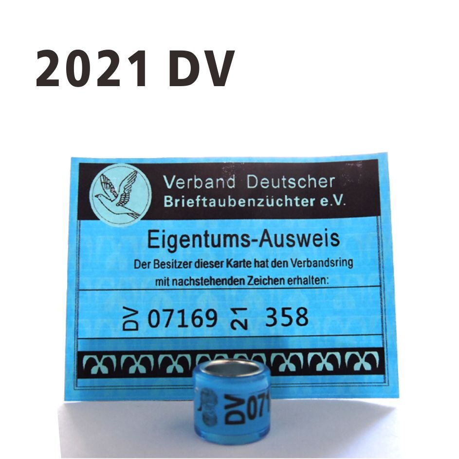 10 stücke DV Taube Ringe Mit Buchstaben Karten Vogel 8mm