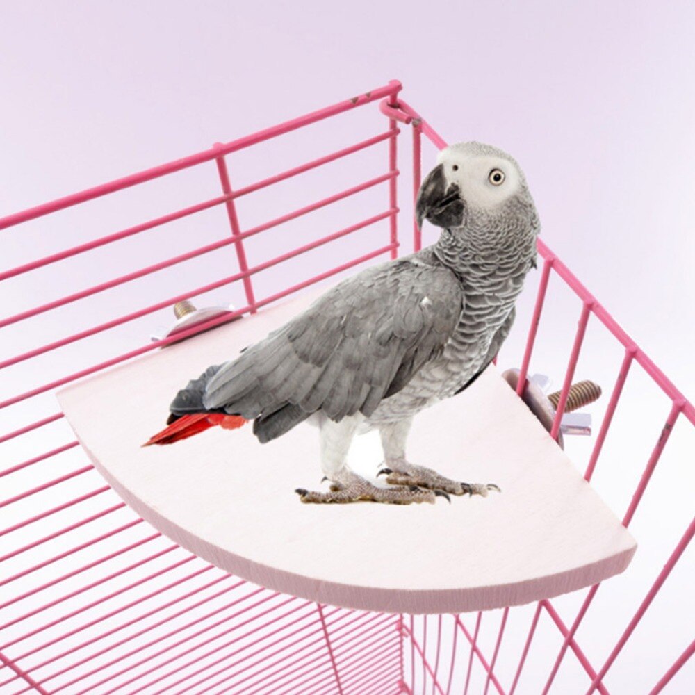 Wooden Stand Rack Bird Cage Accessories Perch For Small Animal Chinchilla Squirrel Hamster Stand Board Fan-Shaped Bird Parrot
