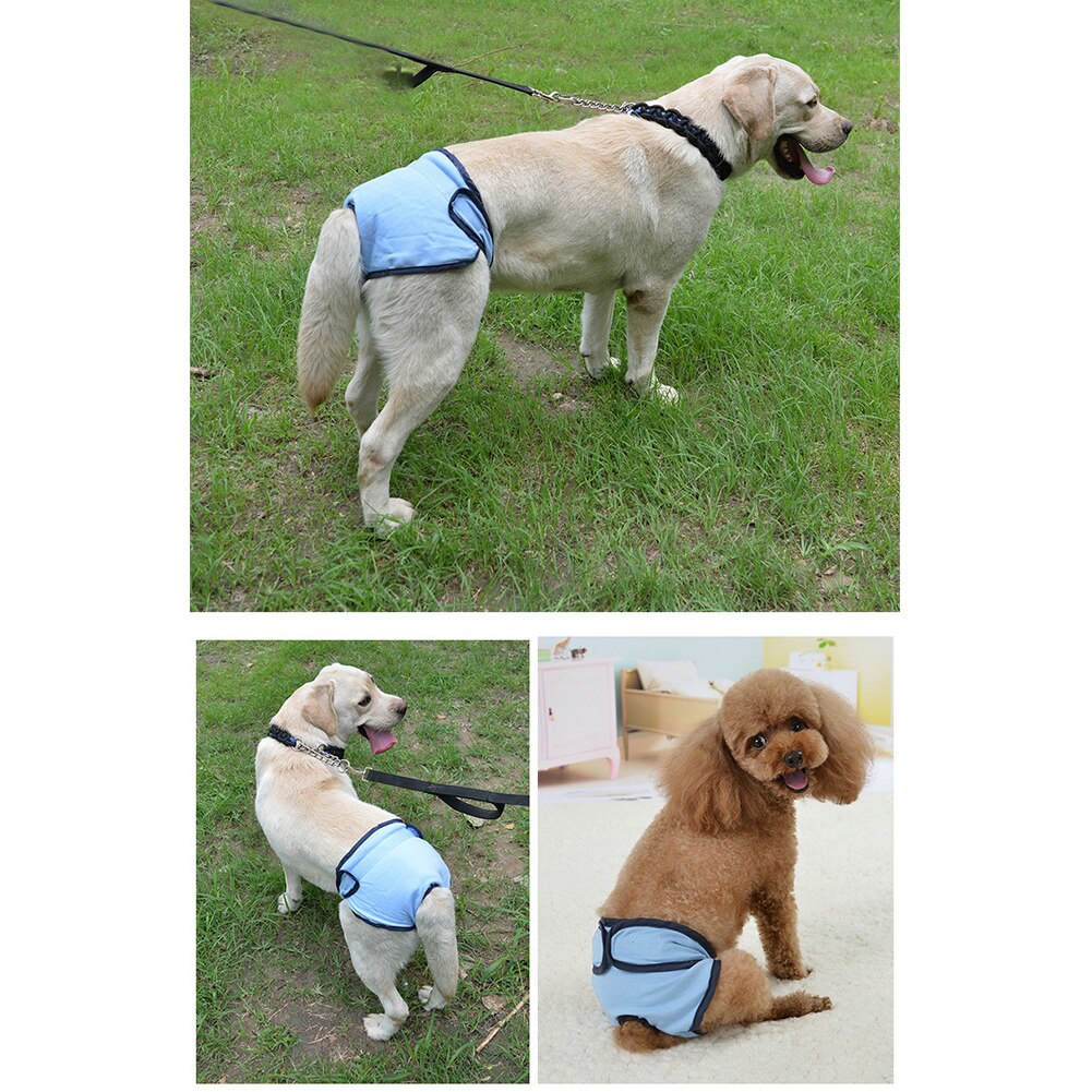 Weibliche Waschbar Physiologischen Hosen Magie Aufkleber Wiederverwendbare Hund Windel Zubehör Hause Haustier Atmungsaktiv Hohe Saugfähigen Flexible