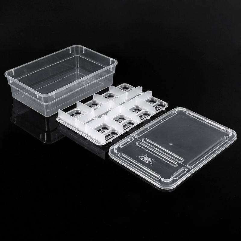 Caja incubadora de reptiles, bandeja para huevos, Gecko camaleón, herramienta de incubación