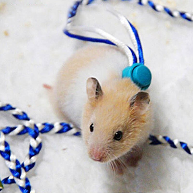 Arnés para Hamster cuerdas arnés Collar de guiar ajustable Animal PEQUEÑO herramientas para jaula correa de hámster 2M productos para mascotas ratón Suministros 1 Uds