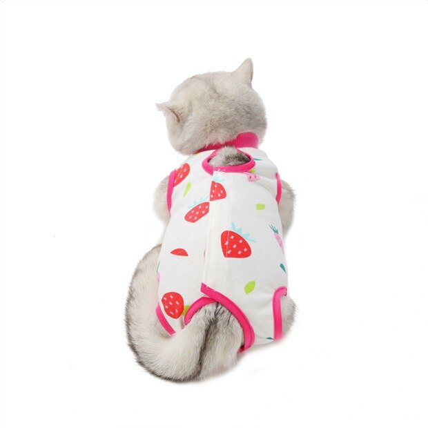 Summer Cat Spaying and neutering Clothes for Small Dogs Cat Clothes Weaning Anti-lick Vest Clothing for Cats Accessories Pet: Strawberry / L