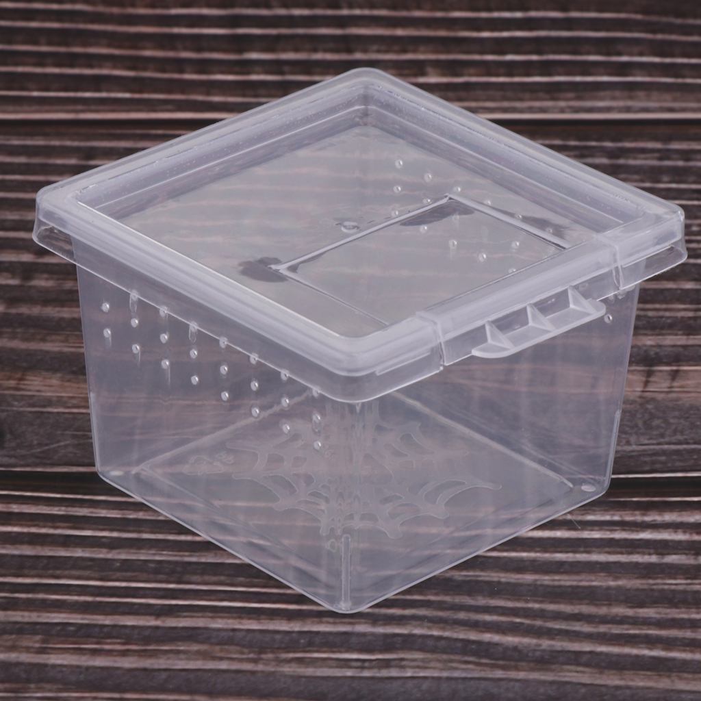 Caja de alimentación para jaula para reptil, Tortuga, araña y Terrario de lagartos