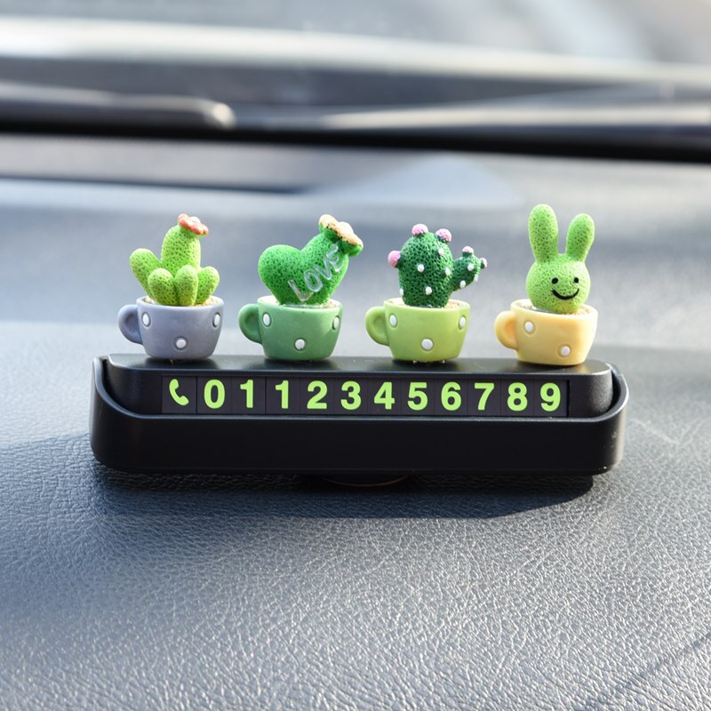 Cute and ornaments, temporary parking cards, parking signs, phone numbers, car decorations birthday for girls: N