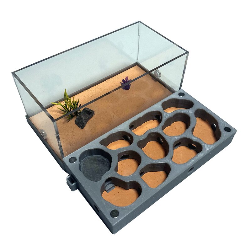3d akryl flad myre gård økologisk myre rede med fodringsområde beton myre hus kæledyr myretue workshop fugtighedsvand pool: E