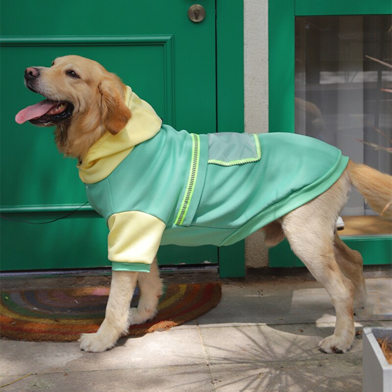 Masticar grueso Otoño e Invierno Sudadera con capucha para perros, Labrador perros grandes salida ropa de dos-pierna botón abrigo para mascotas mono para perro: Verde / 3XL