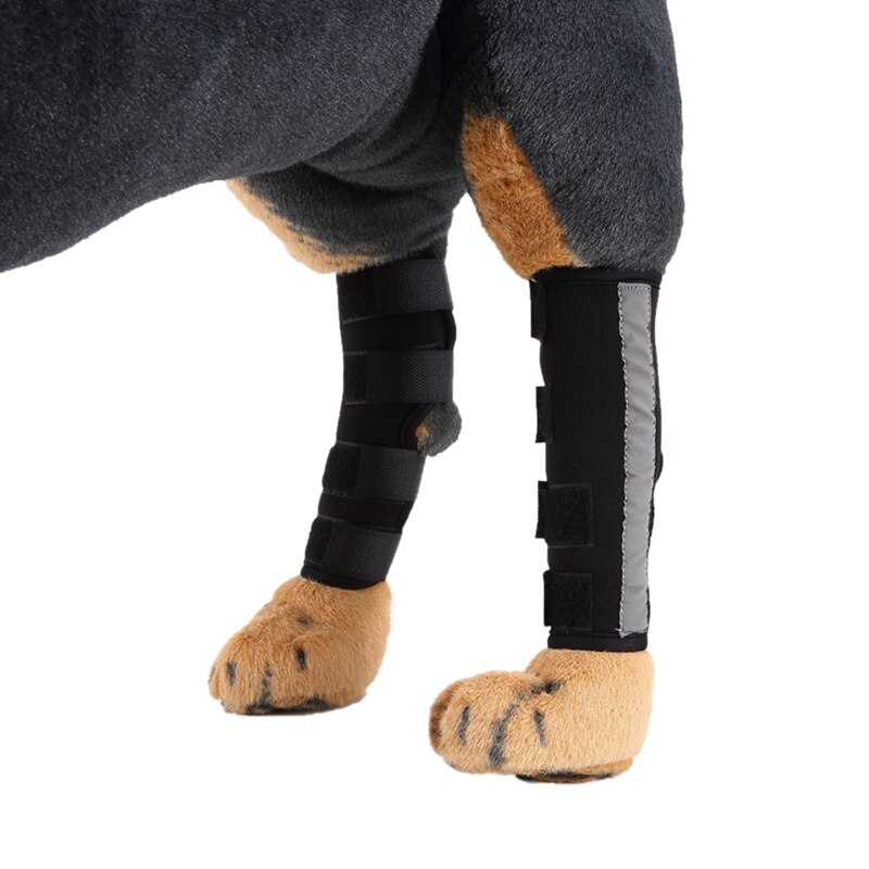 Labra Extra Supportive Dog Canine Rear Leg Hock Joint Wrap Protects Wounds As They Heal Compression Brace Heals Prevents Injury