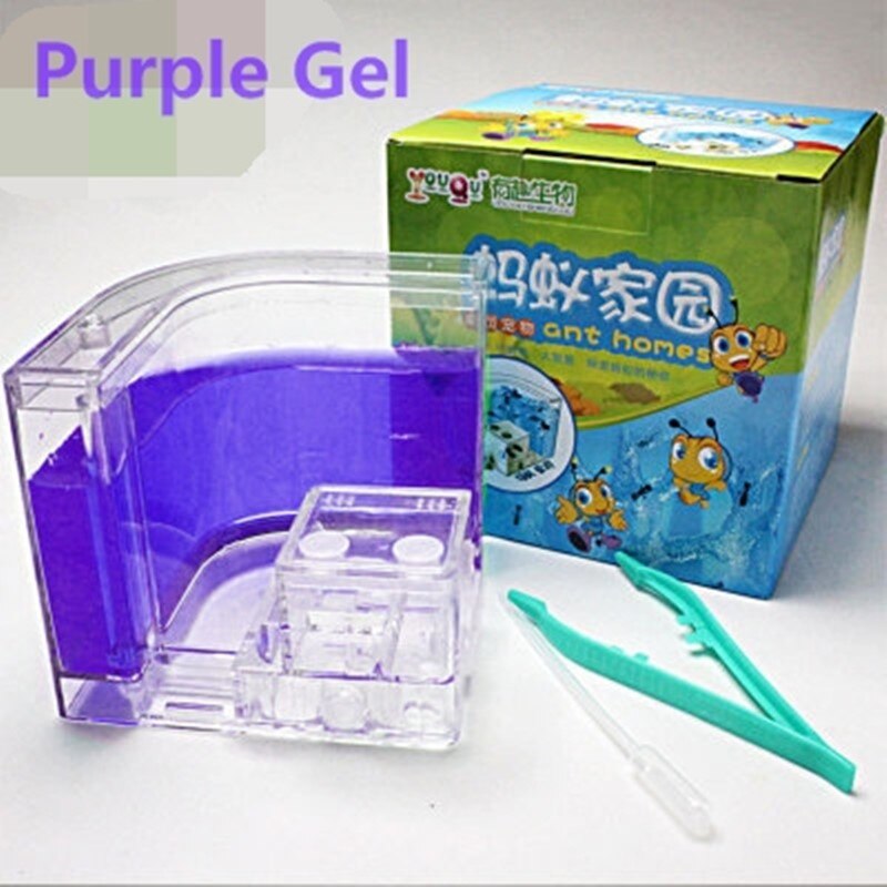 LED Ant Farm Home Ecological Insect Ecology Box Science Educational for Children Ants Pet Toys Reptile 6 Colors Ant Nest: Purple