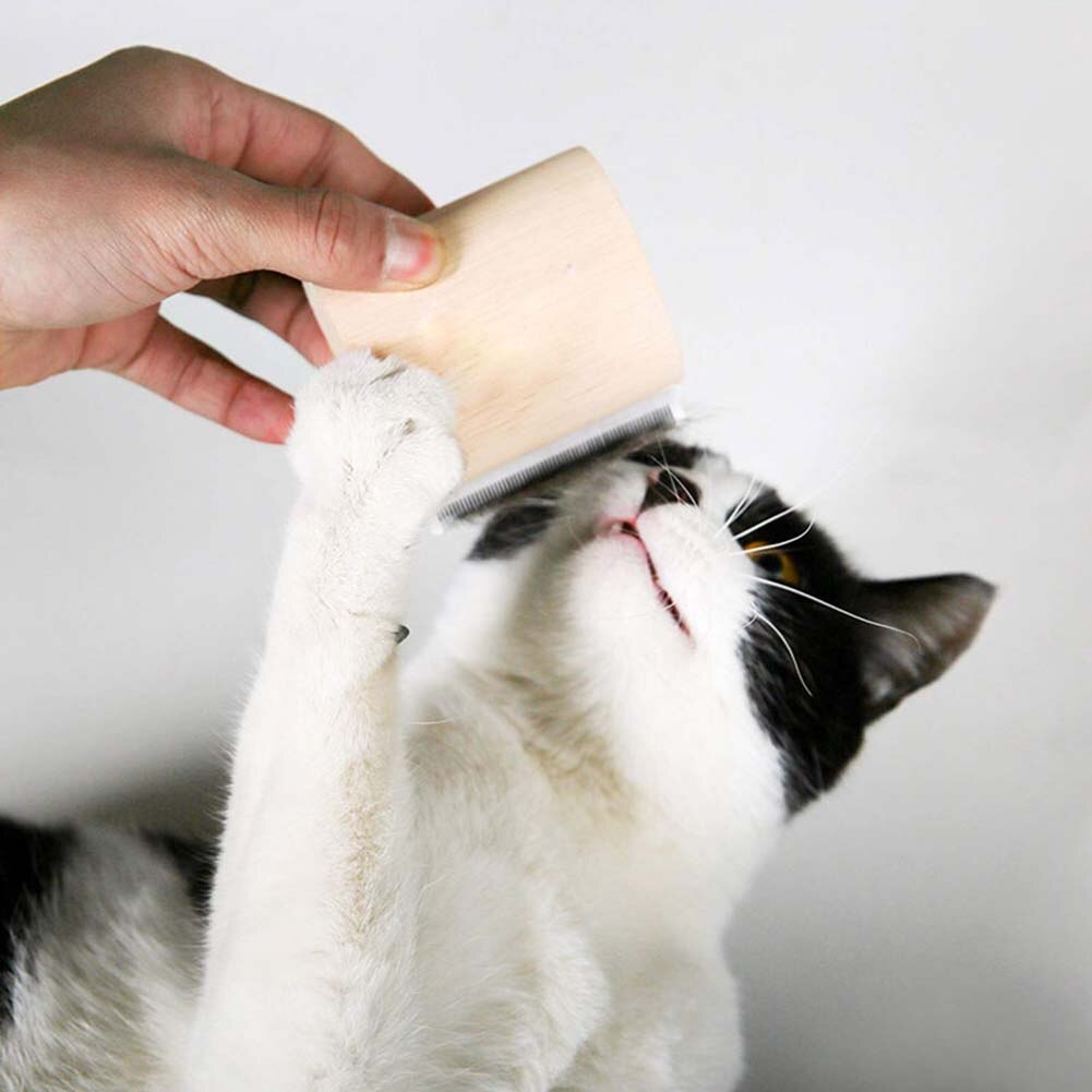 View of Pet Food, Products and Supplies at Low Prices - Free Shipping