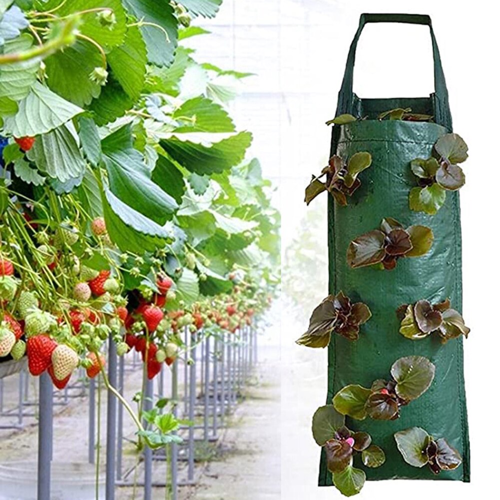 4/6/8/10 Zakken Groeien Zakken Muur Opknoping Verticale Aardbei Planten Zakken Voor Kruiden Groenten Fruit Indoor Outdoor plant Pot