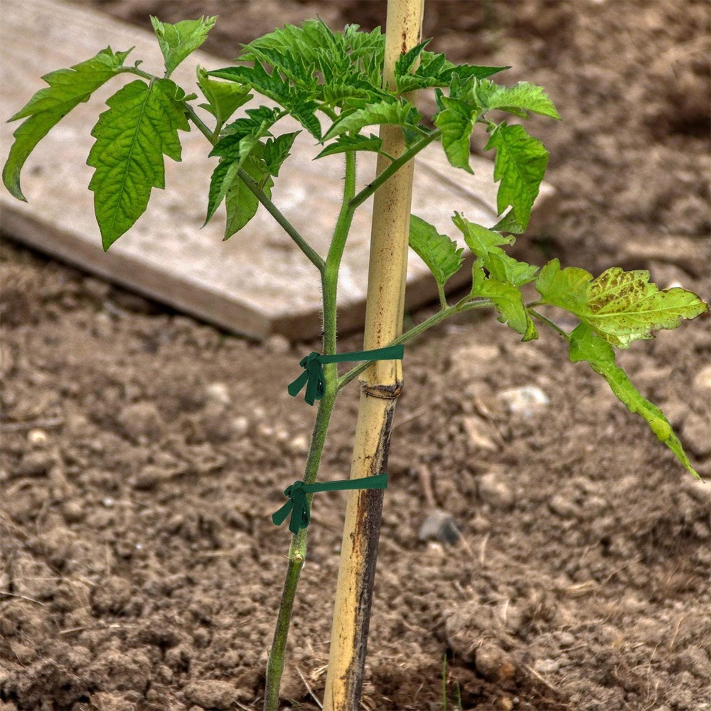 Garten grün Seil Stoff Streifen Pflanze Unterstützung Krawatte verwendet für Kabel Sortierung Pflanze Klettern Umreifung Krawatten Bindung Pflanzen Ich bin Haus