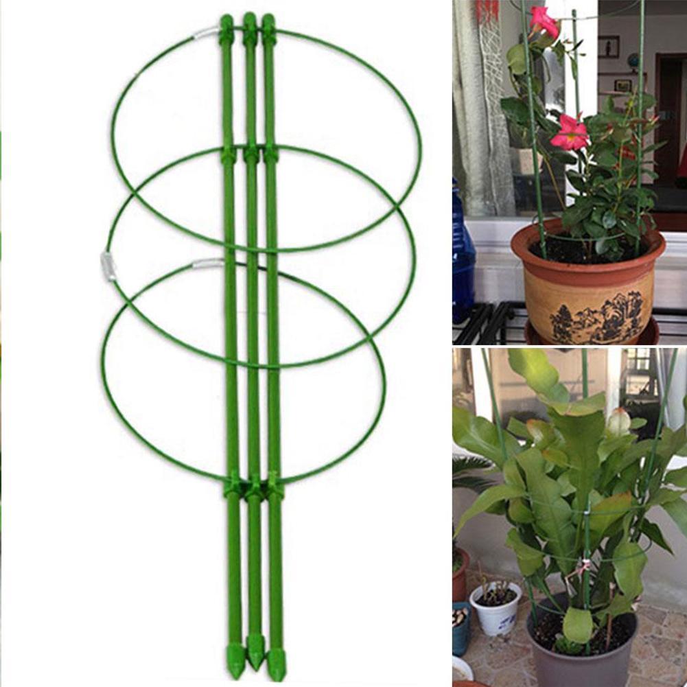 Blomster holdbart klatreplante supportbur indendørs potteplade blomsterhavearbejde faste hoop haveværktøjer