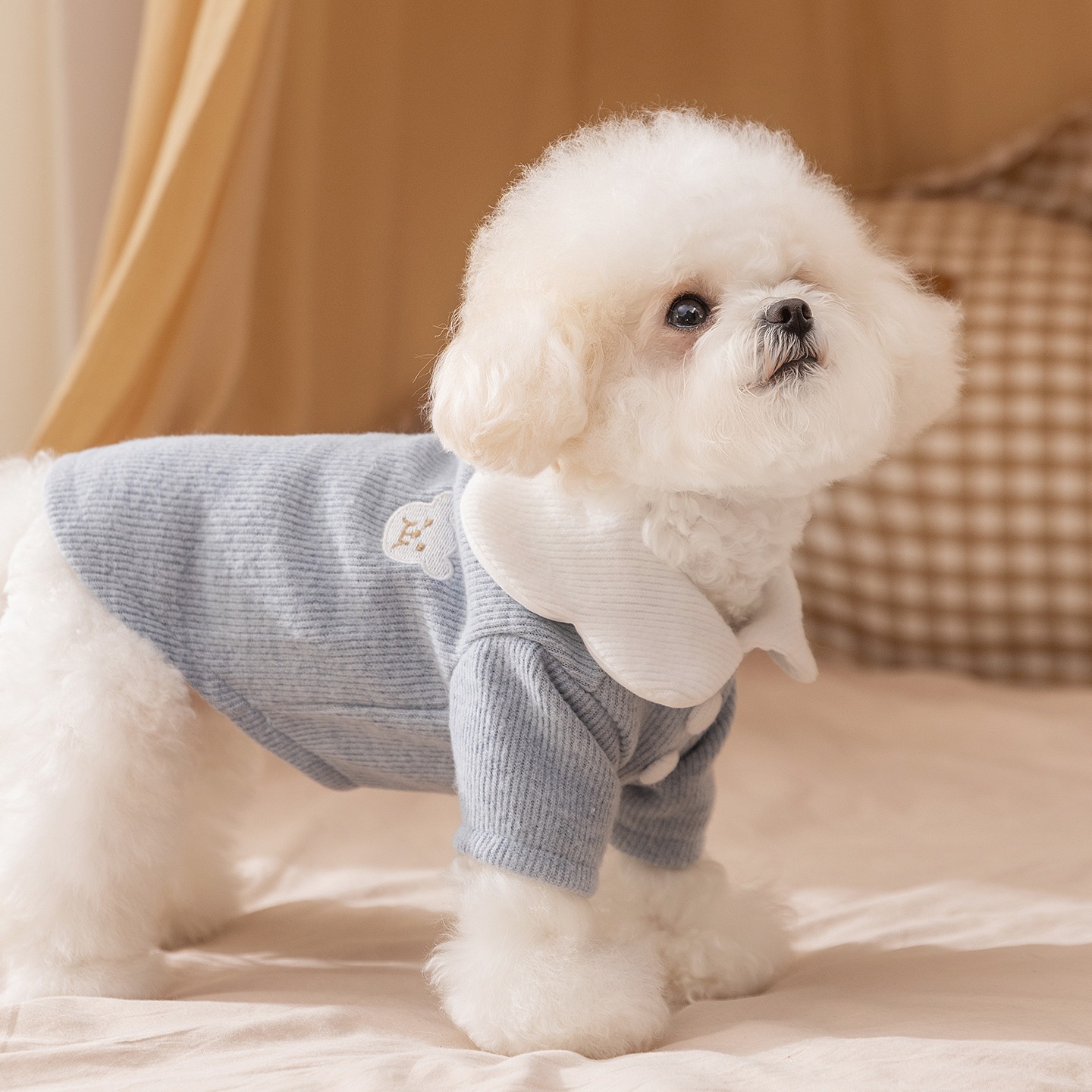 Ubranka dla pudla, jednolite kolory, podkoszulek, zimowe ciepłe ubranka dla psa, mały placki, Yorkshire terier, dwunożna kamizelka