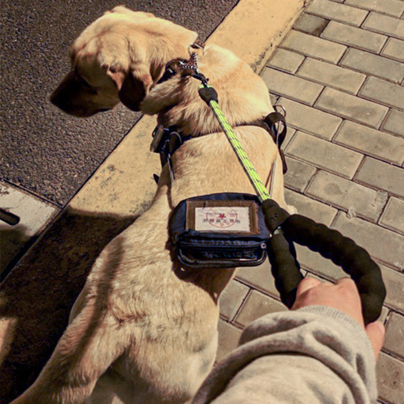 Correa reflectante para perros grandes, correa corta reflectante para caminar, andador de perros a prueba de explosiones, mango suave, suministros para mascotas grandes