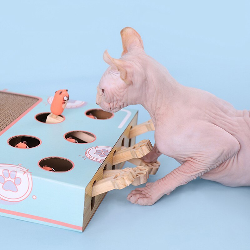 3 In 1 Cat Scraper Board Pet Interactive Fun Toys Cat Nail Scraper Scratching Pad Corrugated Pet Training Toys Supplies For Cats