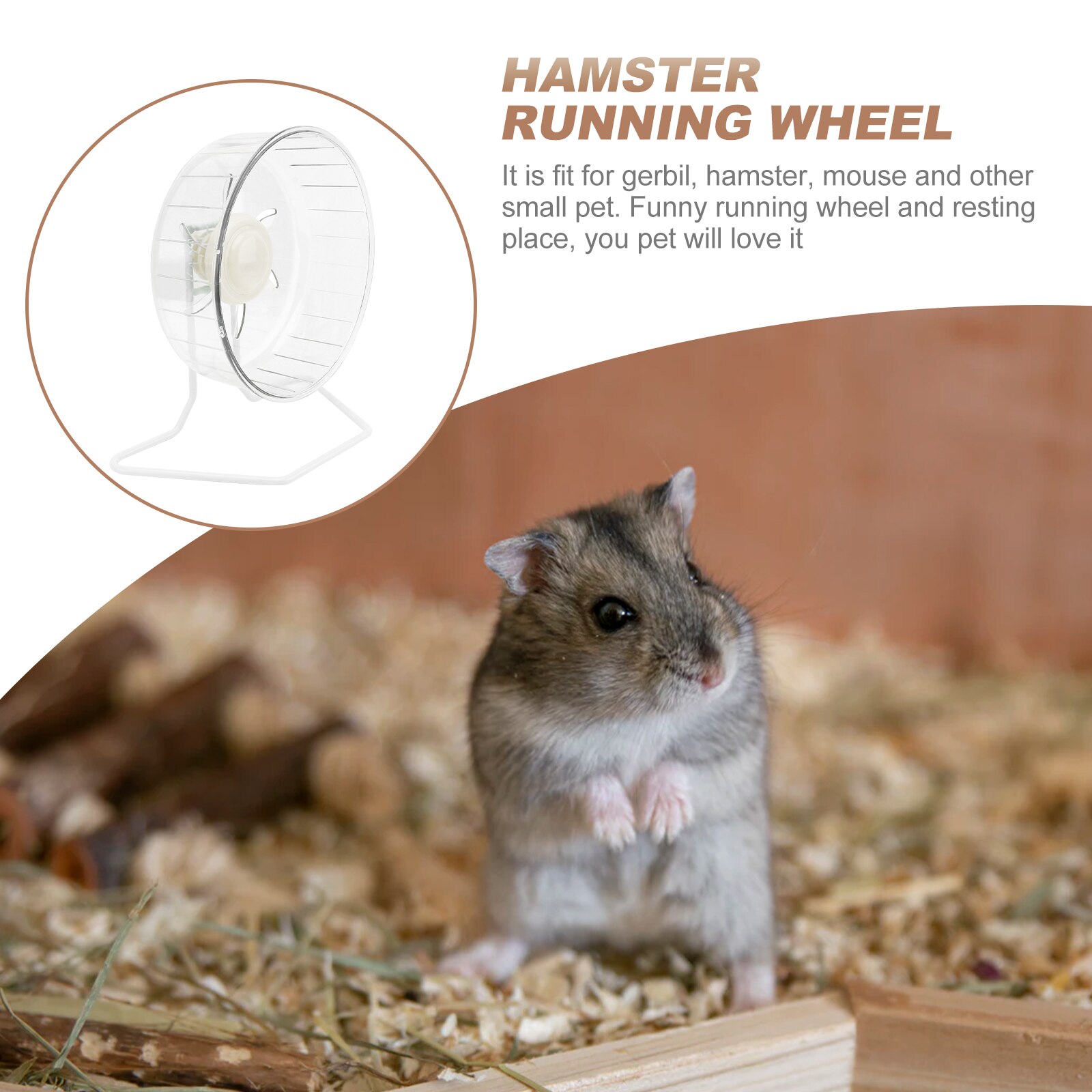 Silent Hamster Wheel Hamster Running Exercise Whee... – Grandado