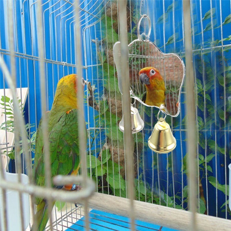 3 former papegøjelegetøj mini spejl med klokker hængende enkelt ansigt spejl til papegøje cockatiel undulat fugle swing fuglebur legetøj